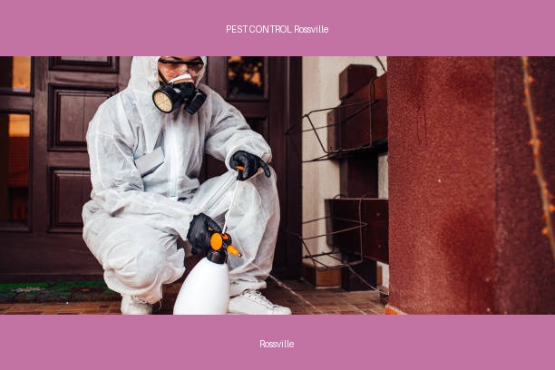 PEST CONTROL Rossville